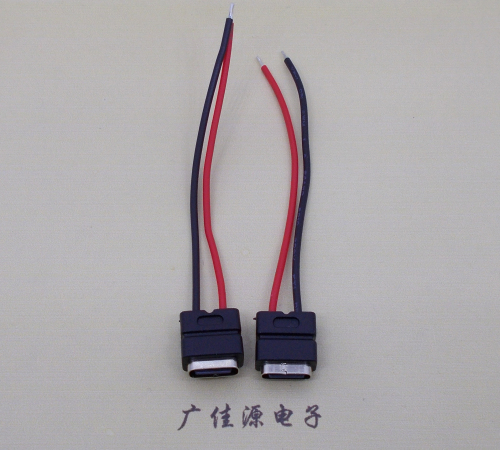 无锡type c2p防水母座焊线式带线注塑成型带接线端子/不带接线端子充电连接器